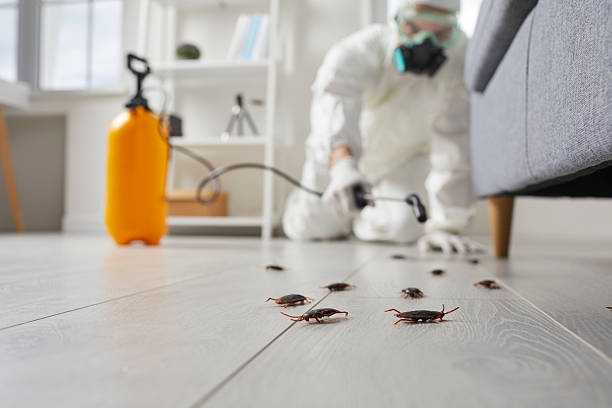 Commercial Kitchen Cockroach Control in Jessup